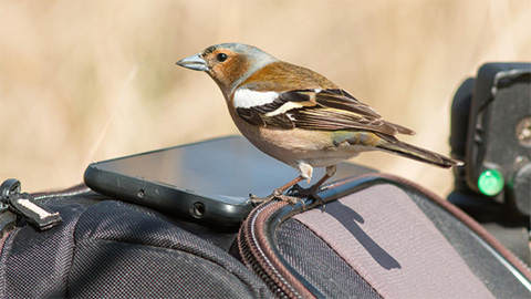 Scientific Tracker